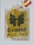 New Zodiac Sign Gemini